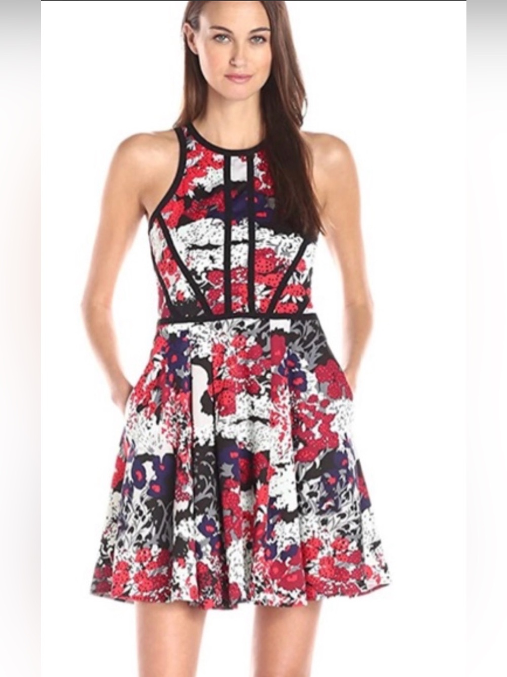 Parker Hudson Floral Print Fit & Flare Mini Dress Small
